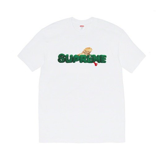 Supreme(シュプリーム)20SS Tシャツのオンライン通販なら当店へ - Supreme(シュプリーム)オンライン通販専門店  Be-Supremer ll 全商品送料無料・正規品保証 　Tシャツ・キャップ・リュック・パーカー・ニット帽・ジャケット
