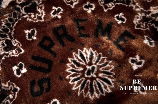 Supreme Bandana Faux Fur Bomber Jacket ジャケット ブラウン 新品 ...