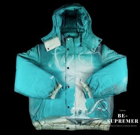 高い Supreme 21SS Fuck Down Jacket | www.terrazaalmar.com.ar