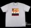 <img class='new_mark_img1' src='https://img.shop-pro.jp/img/new/icons11.gif' style='border:none;display:inline;margin:0px;padding:0px;width:auto;' />Supreme ץ꡼ 21SS Dunk Tee T إ졼