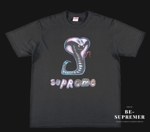SUPREME シュプリーム 21SS Snake Tee スネークロゴ 半袖Tシャツ カットソー ブラック