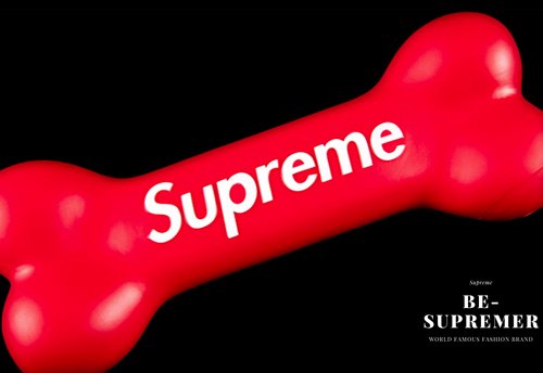 Supreme(シュプリーム)21FW ドッグボーンのオンライン通販なら当店へ