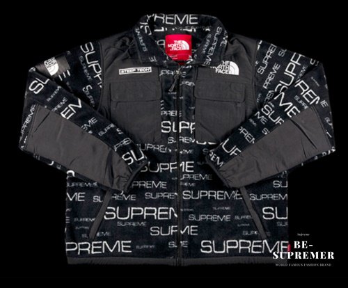 Supreme the north face fleece jacket