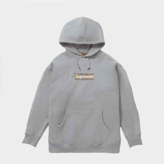 Supreme シュプリーム 22SS Bling Box Logo Hooded Sweatshirt