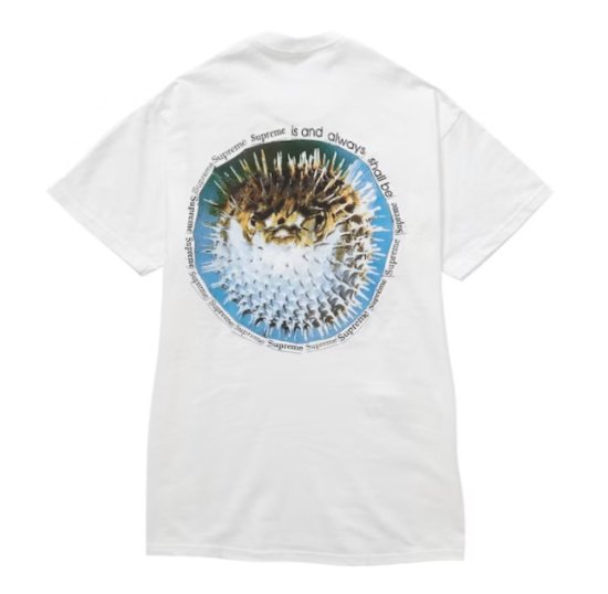 Supreme Blowfish Tee Tシャツ Lサイズ ピーチメンズ