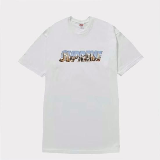 SUPREME シュプリーム 23AW Collegiate S/S Top フロントロゴ 半袖Tシャツ グレー