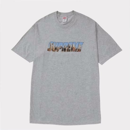 Supreme シュプリーム 23SS Crown Tee クラウンTシャツ ヘザー