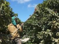 [̸]֥饸 ѥå ֥ܥ PN