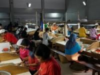 []ɥͥ ơɥ饤ߥ롡ɥå󥰡