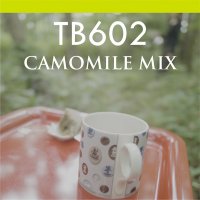 【Teabag】カモミールミックス 10P