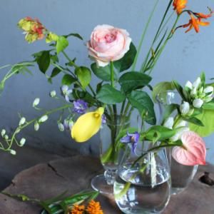 確認用 お花 自宅用 - ex. flower shop & laboratory online store