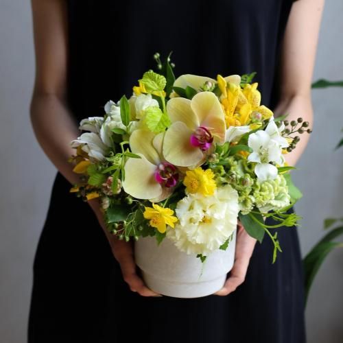 花y…ページです•*¨*•.¸¸☆ ex. flower shop & laboratory online store
