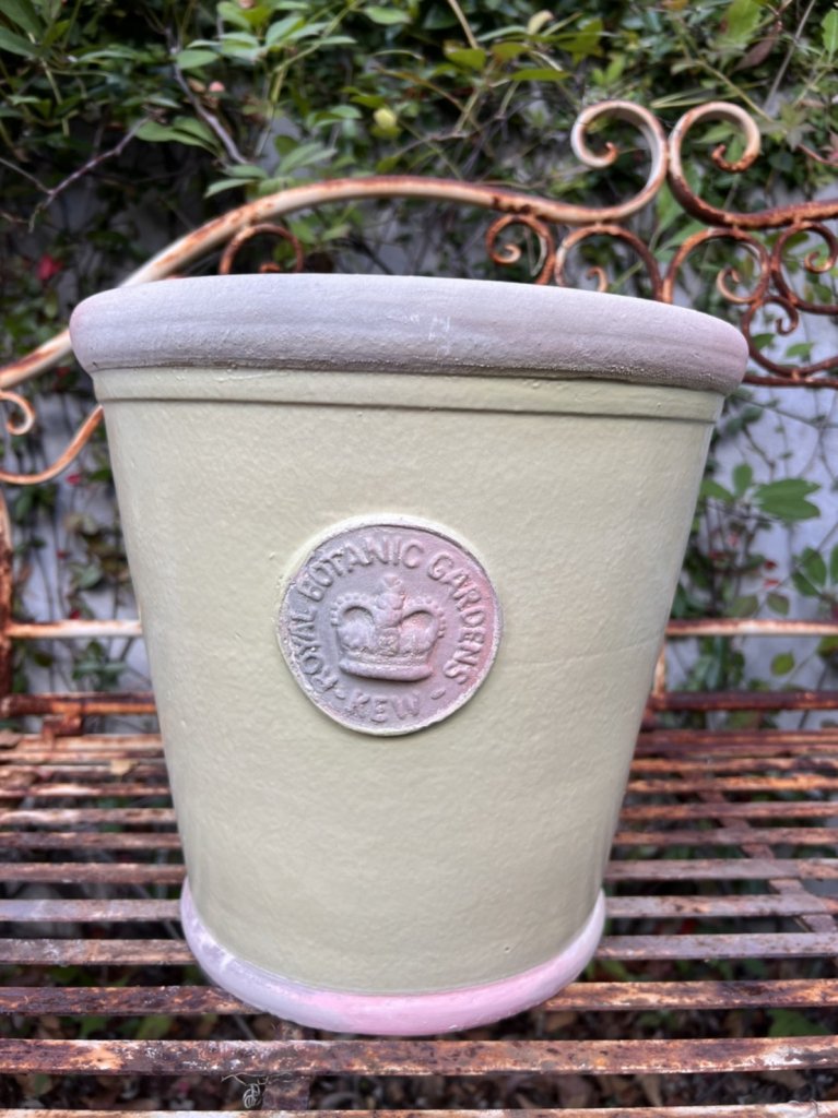植木鉢　英国製キューガーデン　ラピスキューポットL