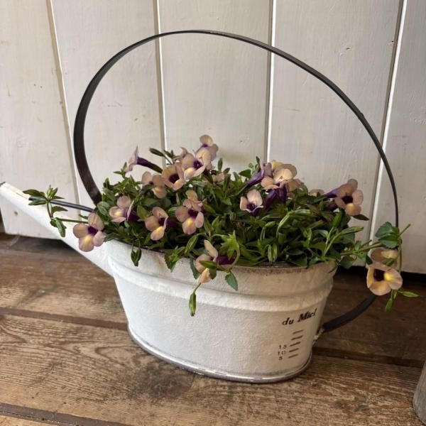 <img class='new_mark_img1' src='https://img.shop-pro.jp/img/new/icons14.gif' style='border:none;display:inline;margin:0px;padding:0px;width:auto;' />硼ʿȭۥ磻