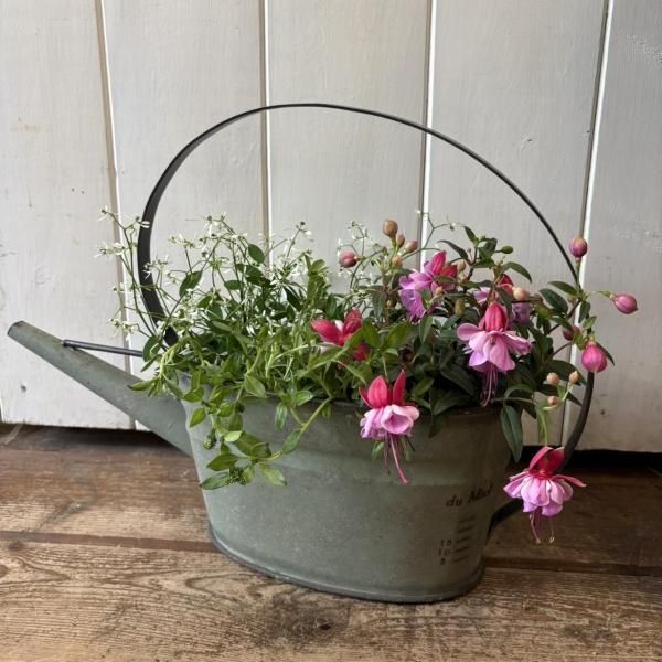 <img class='new_mark_img1' src='https://img.shop-pro.jp/img/new/icons14.gif' style='border:none;display:inline;margin:0px;padding:0px;width:auto;' />硼ʿȭ꡼󤬤ä졼ʥ⥹졼