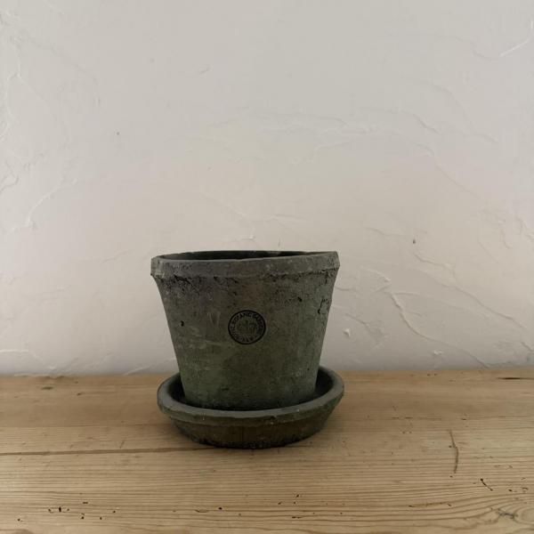 塼ǥ󡡥󥫡塼졼S