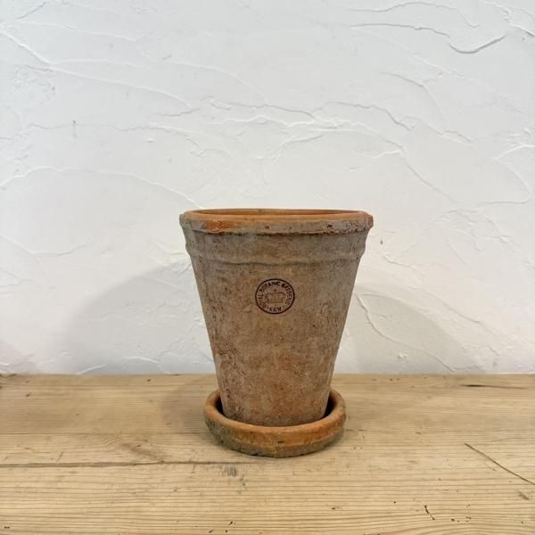 塼ǥ󡡥󥫥ȡ롡塼åɡS