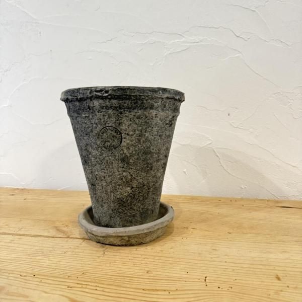 塼ǥ󡡥󥫥ȡ롡塼졼S