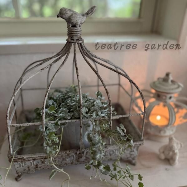 <img class='new_mark_img1' src='https://img.shop-pro.jp/img/new/icons14.gif' style='border:none;display:inline;margin:0px;padding:0px;width:auto;' />ӡʥСɥɡ磻ɡۥ磻