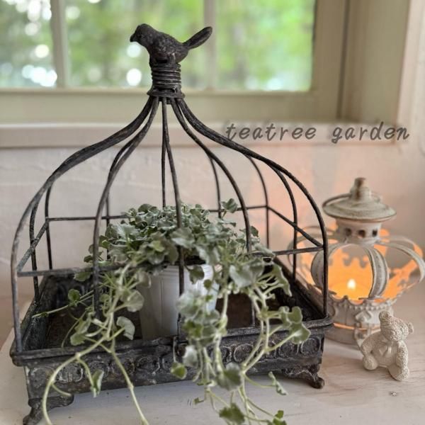 <img class='new_mark_img1' src='https://img.shop-pro.jp/img/new/icons14.gif' style='border:none;display:inline;margin:0px;padding:0px;width:auto;' />ӡʥСɥɡ磻ɡ졼