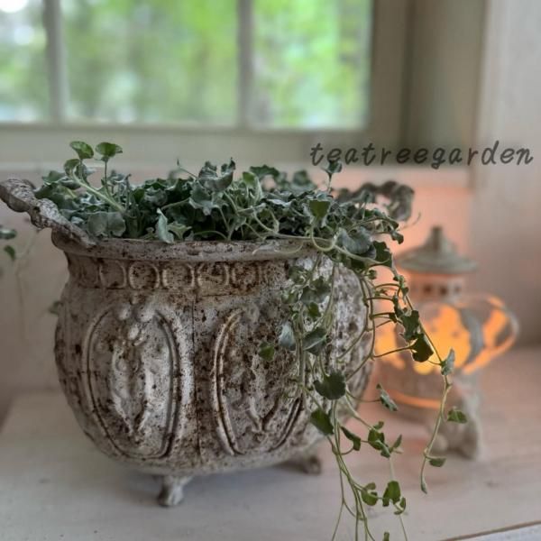 <img class='new_mark_img1' src='https://img.shop-pro.jp/img/new/icons14.gif' style='border:none;display:inline;margin:0px;padding:0px;width:auto;' />襤­դƥХץ󥿡Sۥ磻