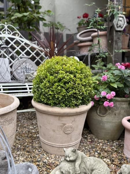 <img class='new_mark_img1' src='https://img.shop-pro.jp/img/new/icons55.gif' style='border:none;display:inline;margin:0px;padding:0px;width:auto;' />ĥȥԥ꡼ݷ