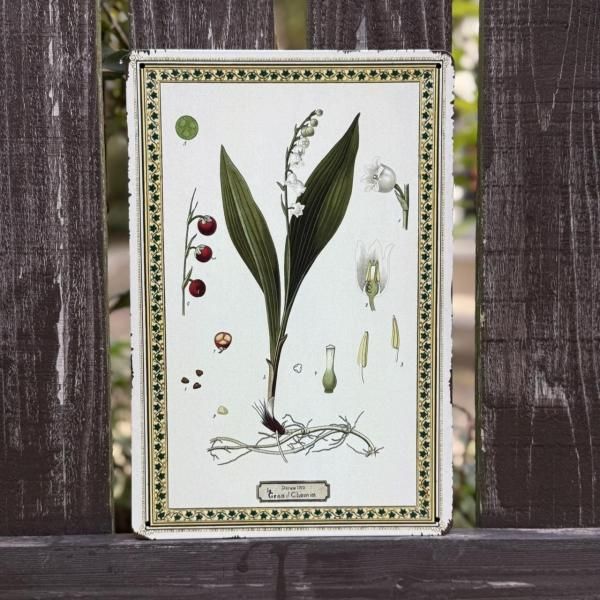 ᥿륵ץ졼ȡ󡡥ܥ˥å