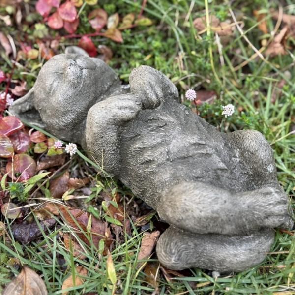 <img class='new_mark_img1' src='https://img.shop-pro.jp/img/new/icons14.gif' style='border:none;display:inline;margin:0px;padding:0px;width:auto;' />ͤƤͤꥹʥ