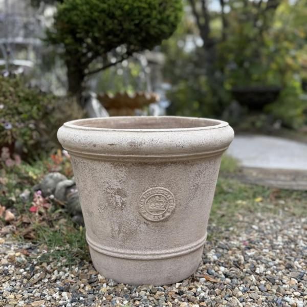 <img class='new_mark_img1' src='https://img.shop-pro.jp/img/new/icons14.gif' style='border:none;display:inline;margin:0px;padding:0px;width:auto;' />塼ǥ󡡥ƥM