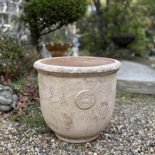 <img class='new_mark_img1' src='https://img.shop-pro.jp/img/new/icons14.gif' style='border:none;display:inline;margin:0px;padding:0px;width:auto;' />塼ǥ󡡥ƥ饦M