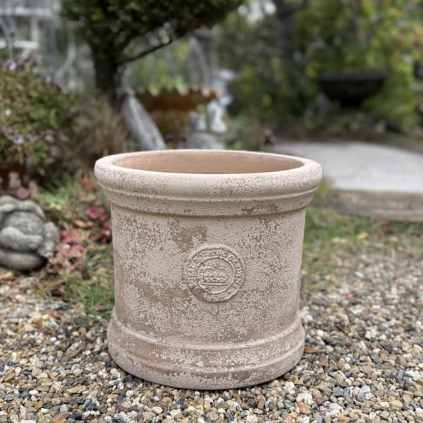 <img class='new_mark_img1' src='https://img.shop-pro.jp/img/new/icons14.gif' style='border:none;display:inline;margin:0px;padding:0px;width:auto;' />塼ǥ󡡥ƥM