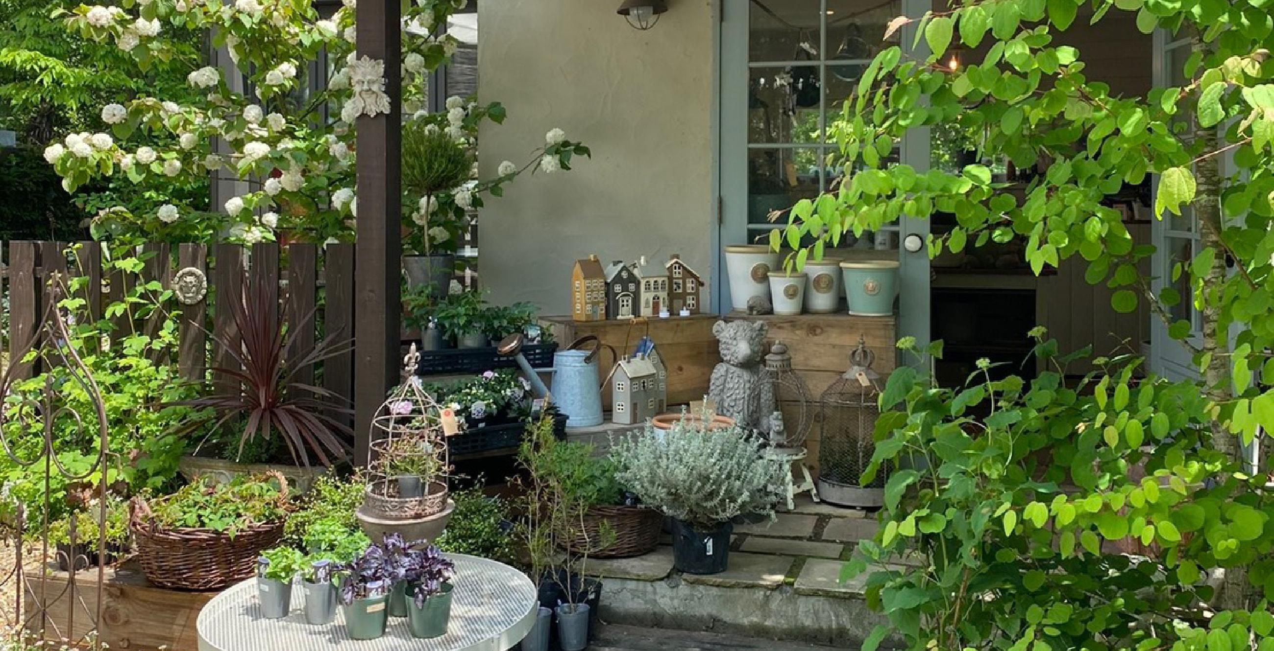 slideshow_img_aa4656.jpg?