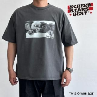 <img class='new_mark_img1' src='https://img.shop-pro.jp/img/new/icons5.gif' style='border:none;display:inline;margin:0px;padding:0px;width:auto;' />GREMLINS/Tee(A)