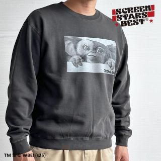 إ/ sweatshirt (02D)ץȥåȥġܥƥ