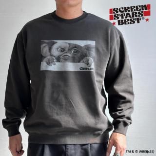 إ/ sweatshirt (02D)ץȥåȥġܥƥ