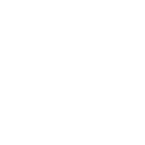 ANYSTYLE