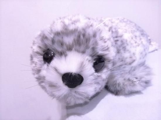 甘えごろアザラシ - いおワールド かごしま水族館オンラインショップ