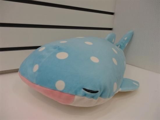 オリジナル ねむねむジンベエ抱き枕 いおワールド かごしま水族館オンラインショップ オリジナル ねむねむジンベエ抱き枕 いおワールド かごしま水族館オンラインショップ