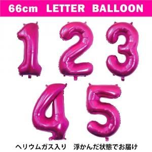 ڥХ롼ۥ쥿Х롼66cmå󥰥ԥ󥯡ڥإꥦ६ۤξʲ