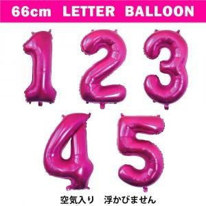 ڥХ롼ۥ쥿Х롼66cmå󥰥ԥ󥯡ڶۤξʲ