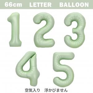 ڥХ롼ۥ쥿Х롼66cm꡼֥꡼ڶꢨ⤫Ӥޤۤξʲ