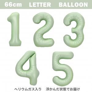 ڥХ롼ۥ쥿Х롼66cm꡼֥꡼ ڥإꥦ६ۤξʲ