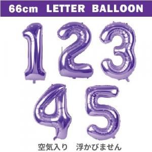ڥХ롼ۥ쥿Х롼66cmѡ٥ ڶꢨ⤫Ӥޤۤξʲ