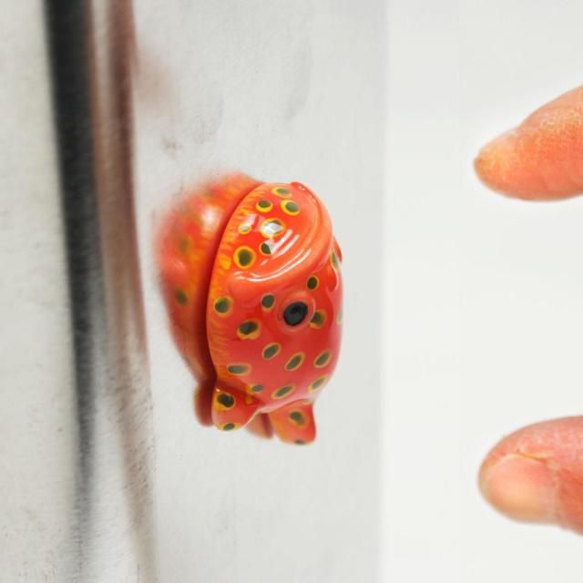 ߥɥե󥳥 ޥͥåȡԥХåÿʪĤޤƤޤ