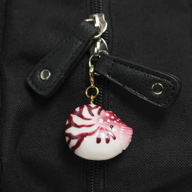 ६ 㡼ÿʪĤޤƤޤ<img class='new_mark_img2' src='https://img.shop-pro.jp/img/new/icons13.gif' style='border:none;display:inline;margin:0px;padding:0px;width:auto;' />