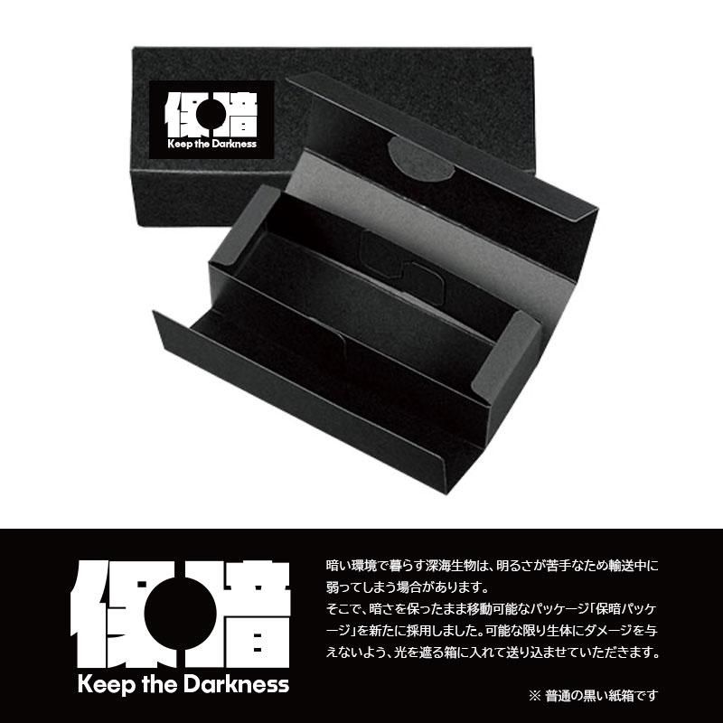 スケーリーフット黒｜熱水噴出孔マグネット群集 - 深海マザー