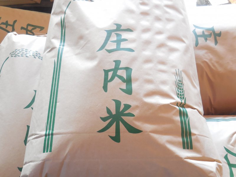 令和４年山形県鶴岡産　特別栽培米　コシヒカリ　　玄米　　25kg