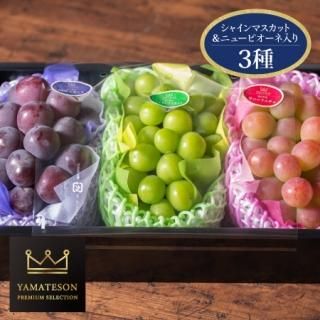 岡山県産果物 フルーツ 岡山名物通販 山手村 白桃 ピオーネ マスカット 岡山の知られざる名品 岡山県産果物 フルーツ 岡山名物通販 山手村 白桃 ピオーネ マスカット 岡山の知られざる名品