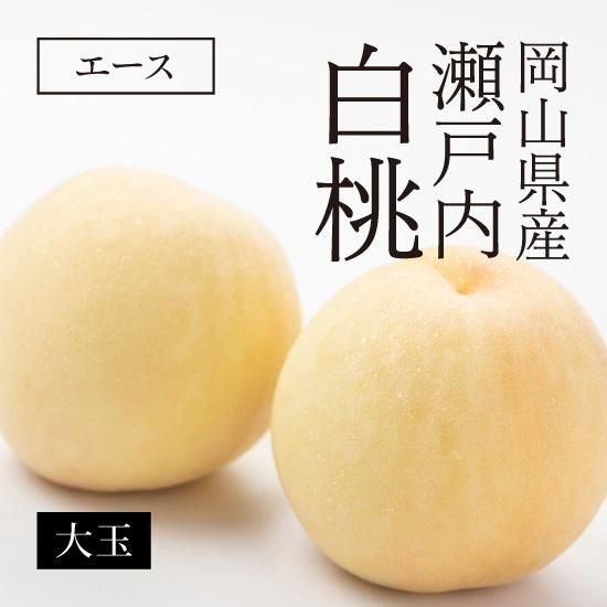 岡山県産 瀬戸内白桃 エース 大玉5 6玉 岡山名物通販 山手村 岡山県産 瀬戸内白桃 エース 大玉5 6玉 岡山名物通販 山手村