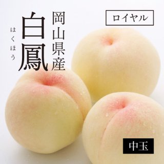岡山県産 白鳳（白桃） ロイヤル 【中】7〜8玉
